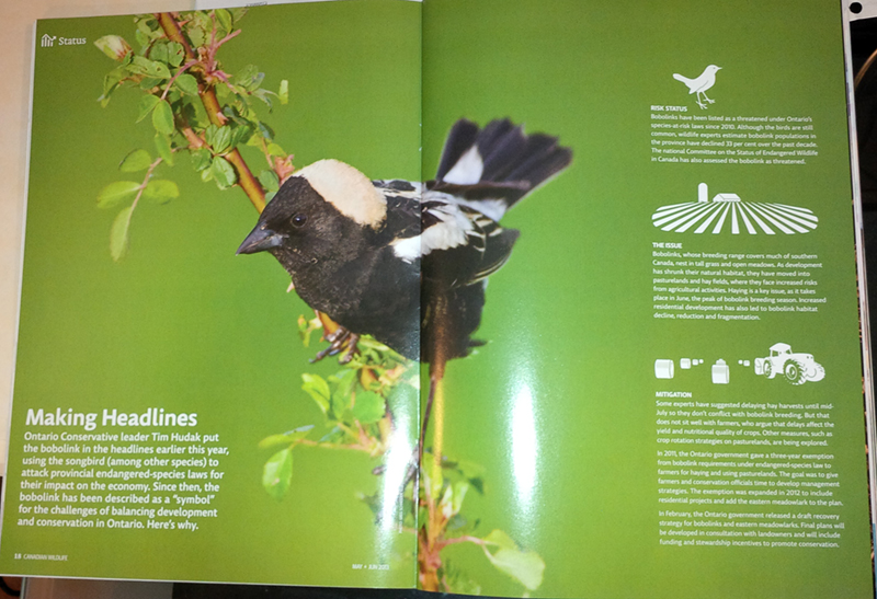 Canadian Wildlife Magazine June 2013